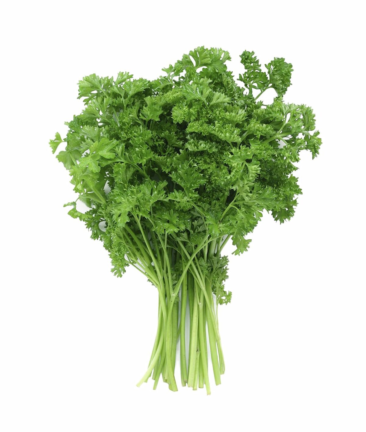 Parsley - Image 1